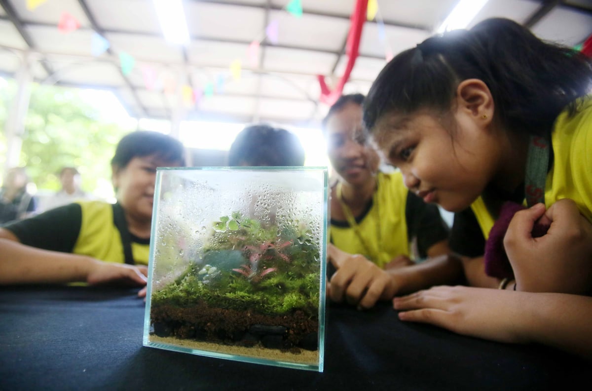 TRIBUNE-ManilaWater-ArborDay